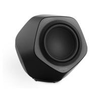 Bang and Olufsen BeoLab 19 Subwoofer